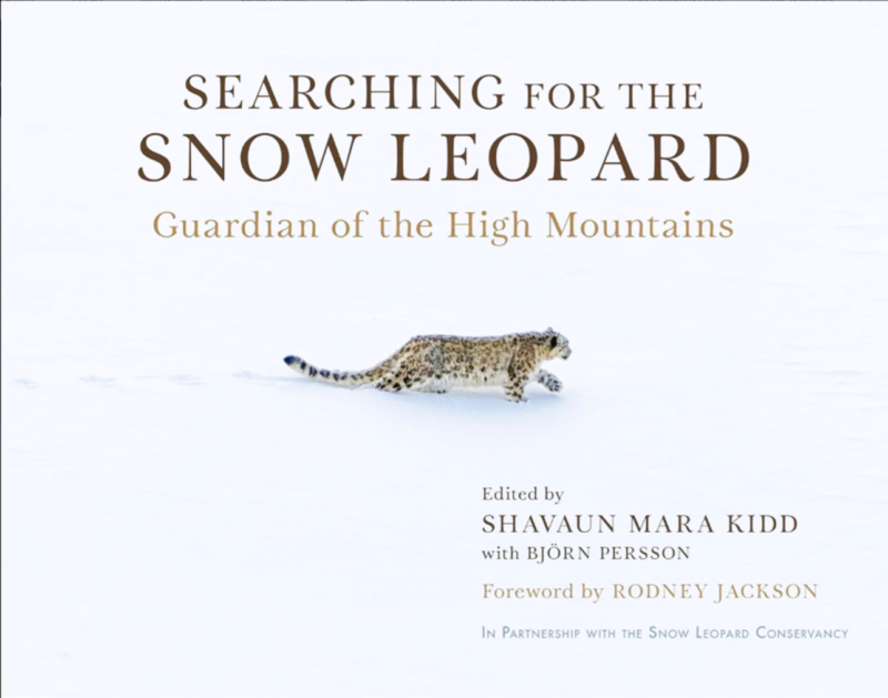 Snow Leopard